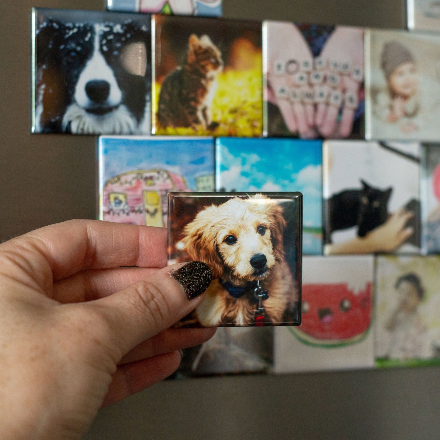 9 Custom Photo Magnets